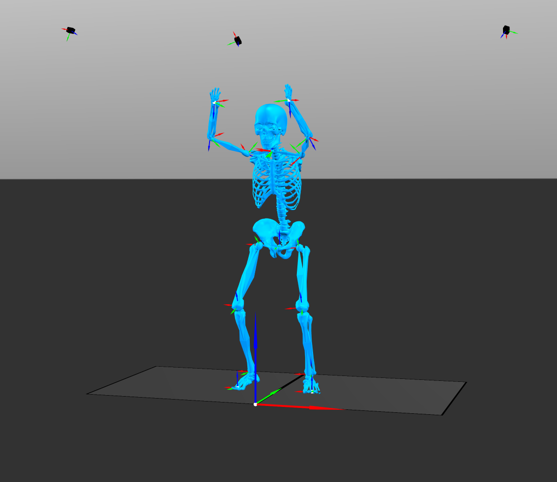 Musculoskeletal model with joint coordinate frames standing on a force plate